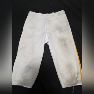 Mizuno Baseball Pants